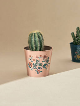 Chumbak - Wildflower Metal Planter