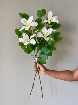 Mason Home - White Artificial Bauhinia Flower Stem Plant Without Pot (Pack of 2)
