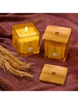 Ellementry - Magnolia Petal Mornings Jar Candle (Pack of 2)