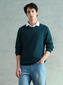 Green color option, Currently selected