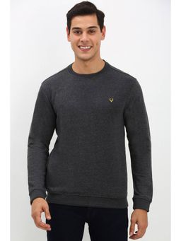 Allen Solly - Men Grey Crew Neck Full Sleeves Casual Sweatshirt