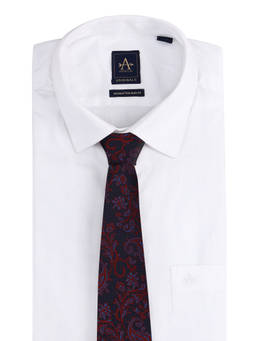 Arrow - Mens Paisley Patterned Tie Blue