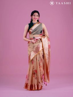 Taashi - The Bronze Silhouette Saree