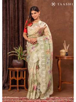Taashi - Pastel Dusty Multi-Color Tissue Printed Embroidered Multi-Color Saree