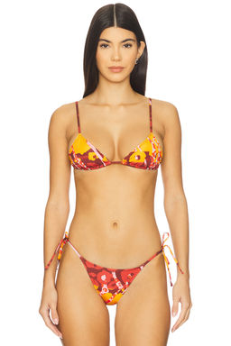 Tropic of C - Equator Triangle Bikini Top