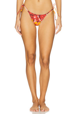 Tropic of C - Praia Bikini Bottom