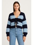 Blue color option, Currently selected