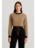 Brown color option, Currently selected