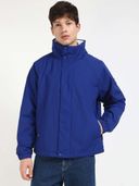 Blue color option, Currently selected