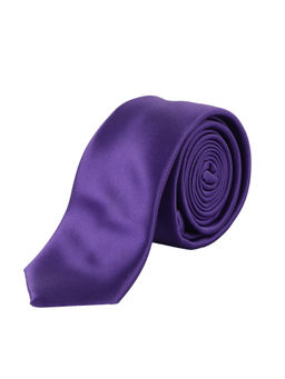 Alvaro Castagnino - Mens 100 Percent Microfiber Necktie