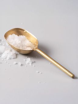 Nestroots - Gallant Stainless Steel Ice Scoop In Gold Color