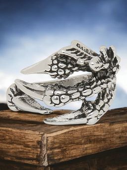 Fabula - Silver Stainless Steel Vintage Gothic Dragon Claw Biker Ring (9)