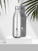 Silver color option, Currently selected