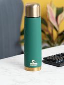 Green color option, Currently selected