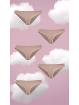 NeceSera - Full Coverage Bikini Soft Nude Supima Modal Nessies (Pack of 5)