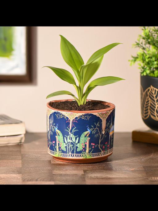 Gathari Peacock Printed Table Planter