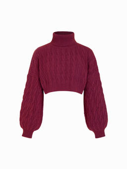 Cider - Cable Knit Turtleneck Solid Long Sleeve Crop Top