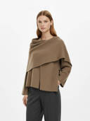 Brown color option, Currently selected