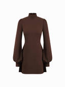Brown color option, Currently selected