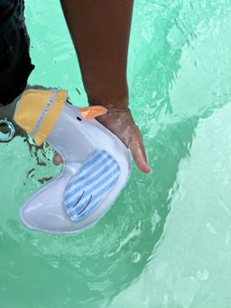 Sunnylife - Dive Buddies Sid The Seagull Multi-Color Pool Toys (Pack of 3) (3-16 Years)