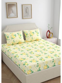 Home Ecstasy - 100% Cotton Bedsheet with 2 Pillow Covers Cream (Double)