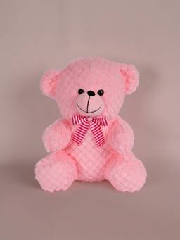 DukieKooky - Kids Max Teddy Soft Toy
