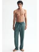 Turquoise color option