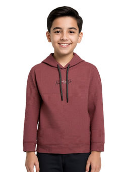 CAVIO - Boys Purple Kids Embossed Solid Full Sleeve Hoodie
