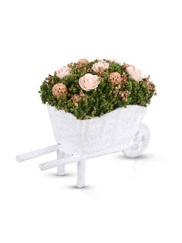 HomeTown - Aura Pe and Natural Dried Flowers Floral Arrangements in Peach Colour By Living Essence