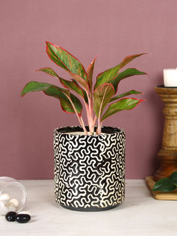 AAPNO RAJASTHAN Intricate Design Ceramic Pot for Desk