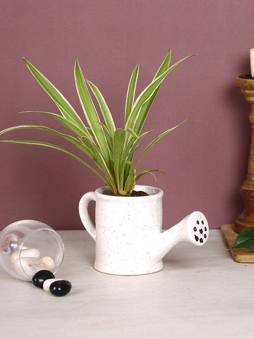 AAPNO RAJASTHAN White Watering Can Shaped Mini Pot