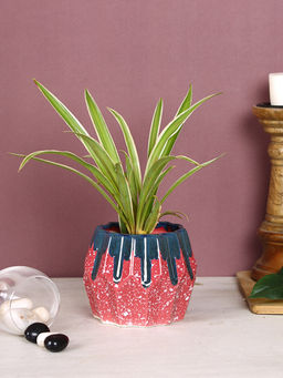 AAPNO RAJASTHAN - Asymmetrical Ceramic Planter