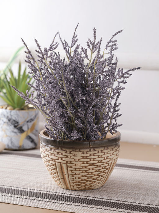 Tayhaa Beige Ceramic Indoor Pot