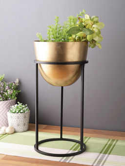 AAPNO RAJASTHAN - Golden Brass Planter with Black Stand