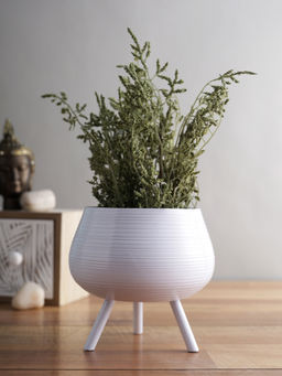 AAPNO RAJASTHAN White Striped Planter