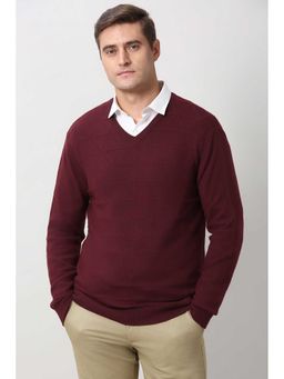 Peter England - Men Maroon Textured V Neck Sweater