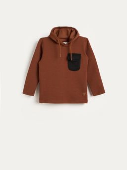 Blue Giraffe - Boys Brown Solid Hood Regular Fit Sweatshirt