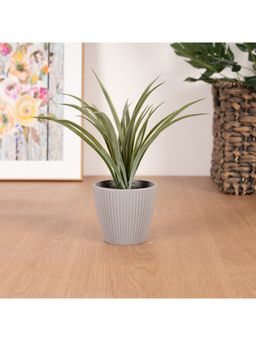 HomeTown - Ilana Ribbed Potted Plant in Multi Colour