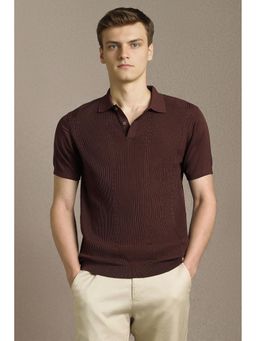 Louis Philippe - Men Brown Textured Polo T-shirt