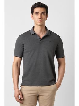 Peter England - Men Grey Textured Polo T-shirt