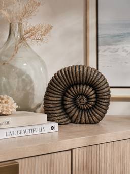 Ashnam - Big Sea Shell Sculpture Antique Dark Brown
