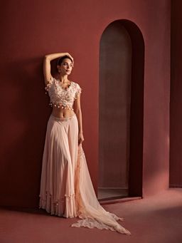 Tarini Vij - Blush Pink Classic Lehenga with Stitched Blouse & Dupatta (Set of 3)