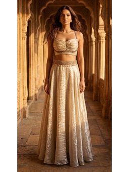Basanti Kapde aur Koffee - Matte- Gold Organza Embroidered Lehenga with Blouse and Dupatta