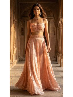 Basanti Kapde aur Koffee - Rose- Gold Organza Embroidered Lehenga with Blouse and Dupatta