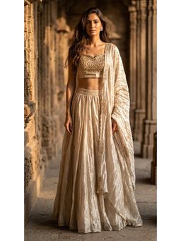 Basanti Kapde aur Koffee - Tissue Embroidered Gold Blouse with Lehenga and Dupatta