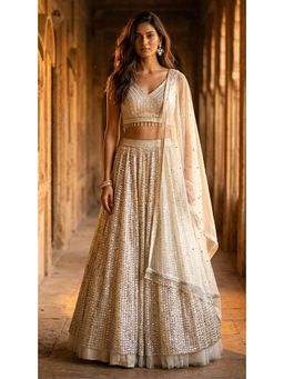 Basanti Kapde aur Koffee - Ivory Sequins Net Embroidered Lehenga with Blouse and Dupatta
