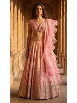 Basanti Kapde aur Koffee - Peach Banarasi Embroidered Lehenga with Blouse and Dupatta