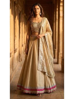 Basanti Kapde aur Koffee - Tissue Embroidered Gold Lehenga with Blouse and Dupatta