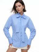 Blue color option, Currently selected