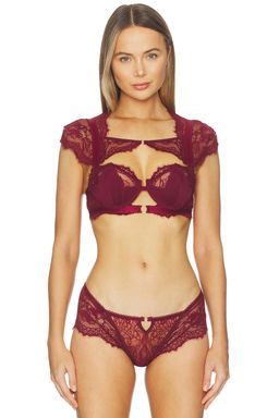 Thistle and Spire - Daphne Bra